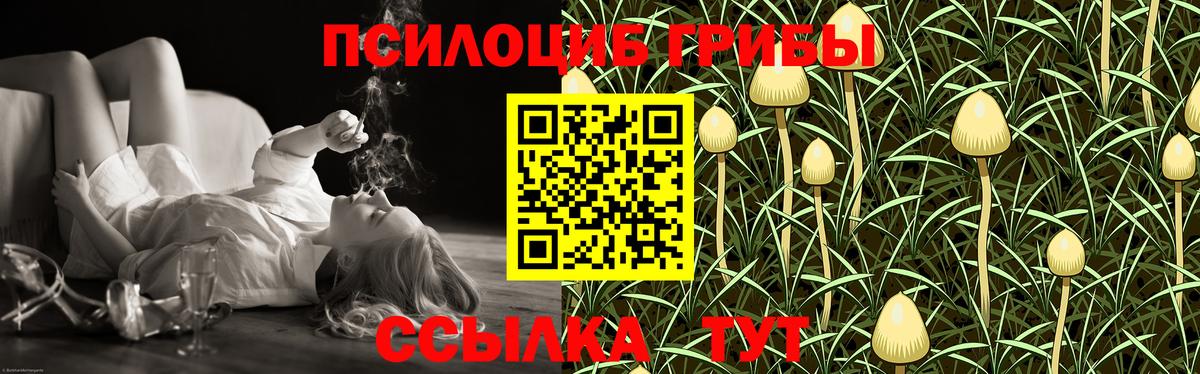 Псилоцибиновые грибы GOLDEN TEACHER Пыть-Ях
